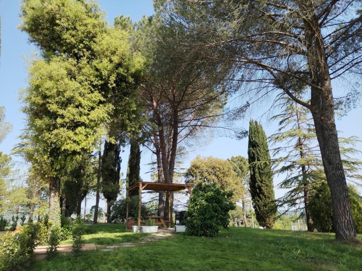 Agriturismo Poggio Rotondo San Gimignano Exterior photo